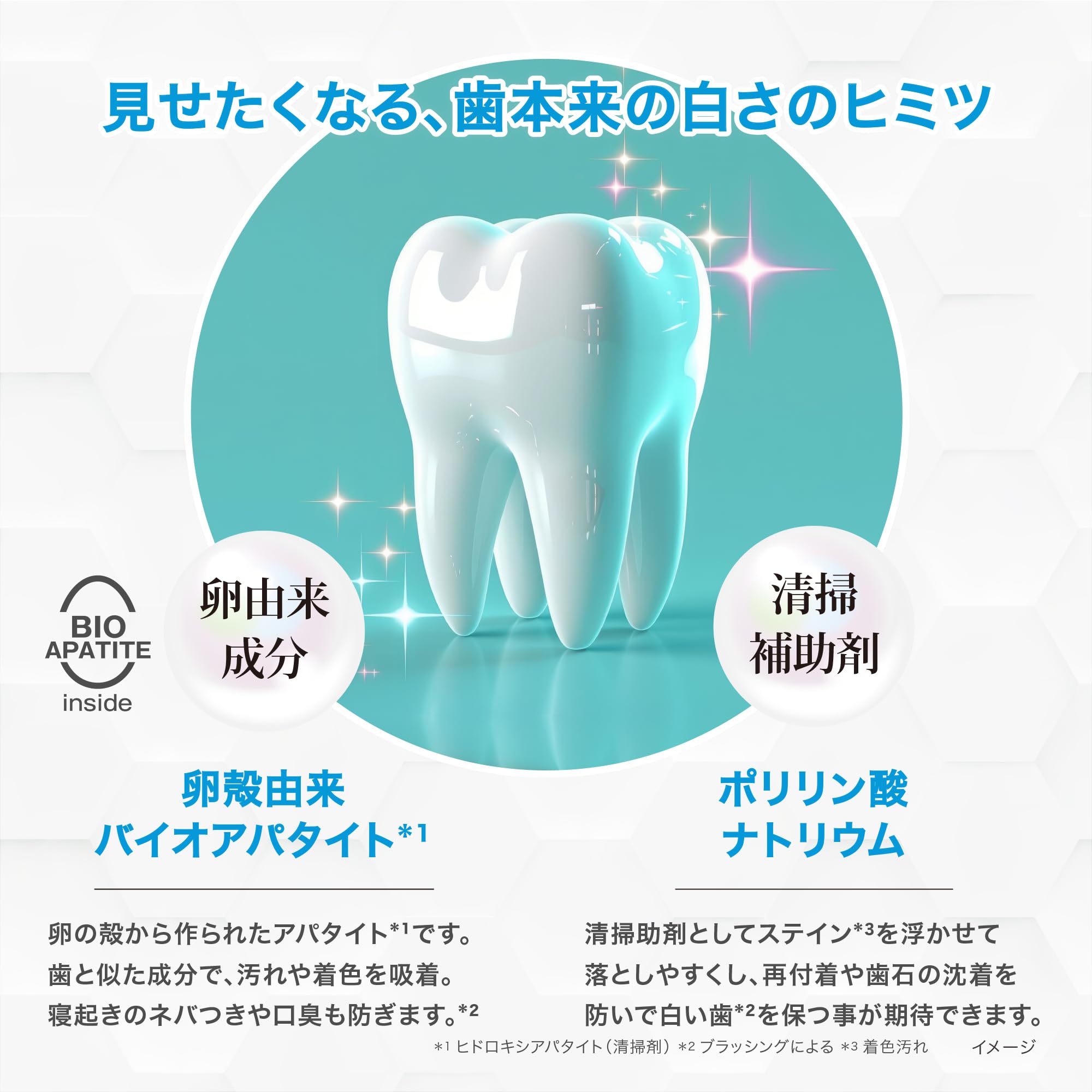 デンタルパウダー 30包 デンタルパウダーの商品一覧 通販 - Yahoo