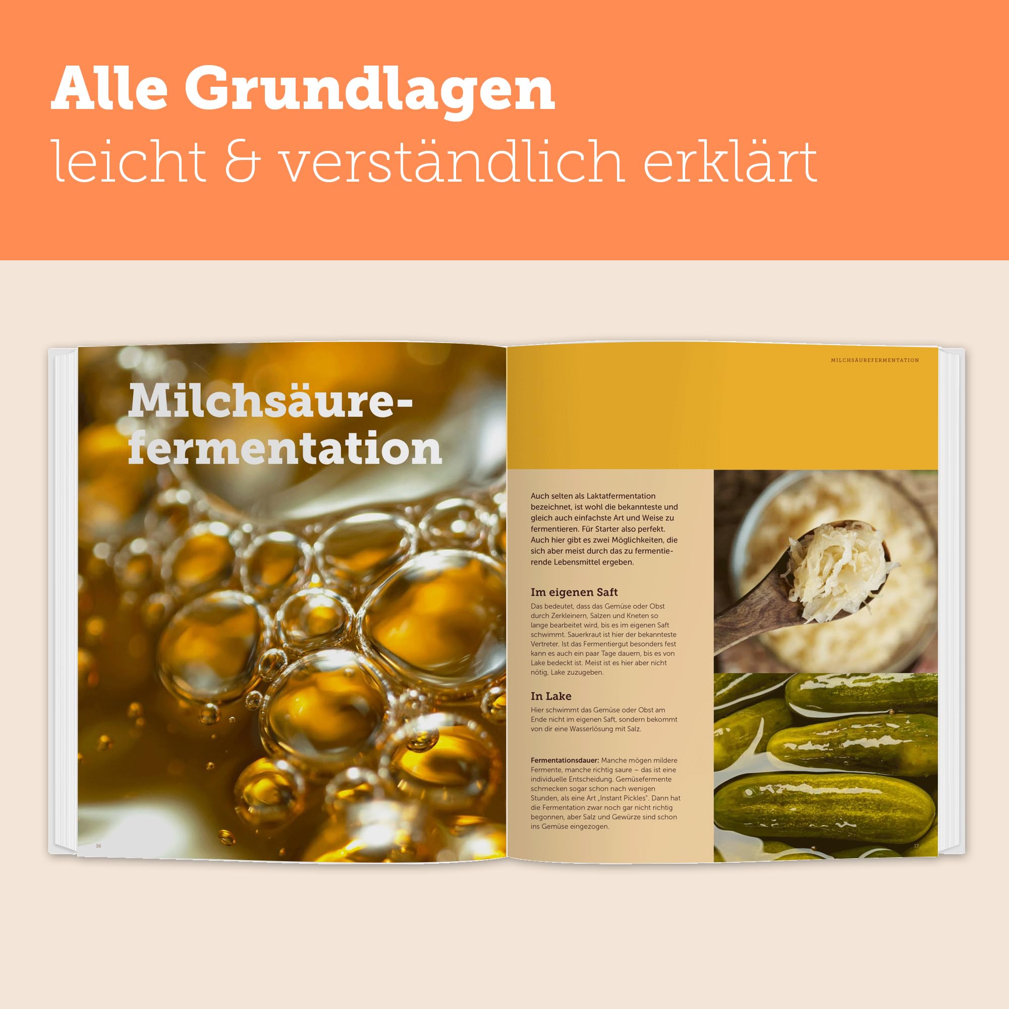 Natürlich Fermentieren: Grundlagen, Anleitungen, Rezeptideen, Gemüse, Kimchi, Kombucha, Kefir, Joghurt, Bier, Essig, Sauerteig