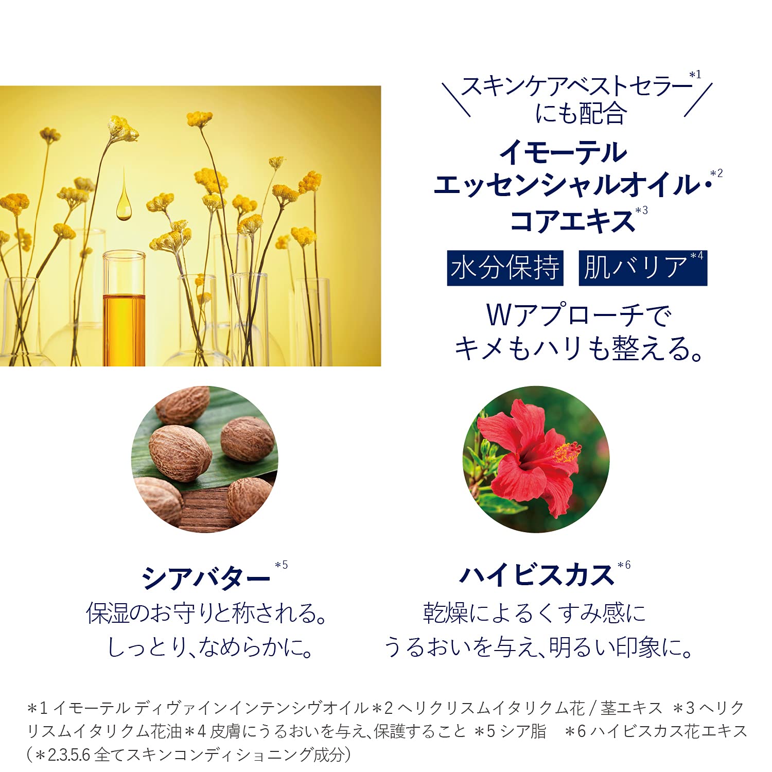 Amazon Com L Occitane Immortelle Divine Anti Aging Youth Hand Cream 2 7 Oz Beauty Personal Care