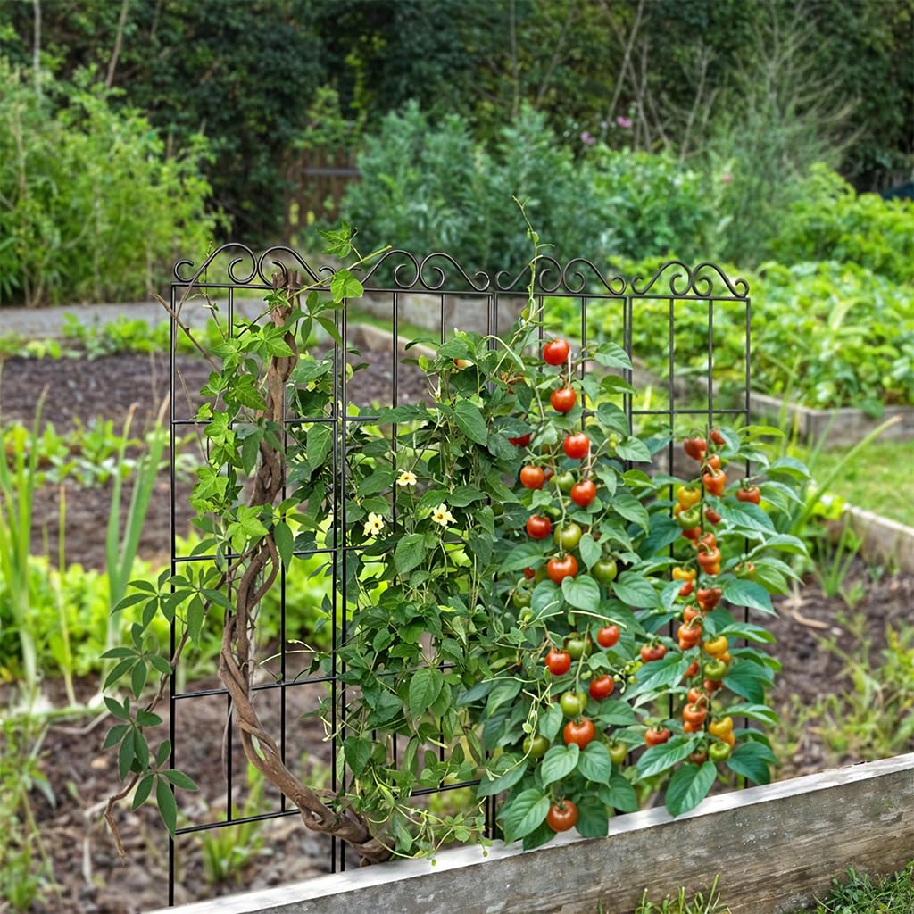Metal Plant Trellis - Support Climbing Vines -6