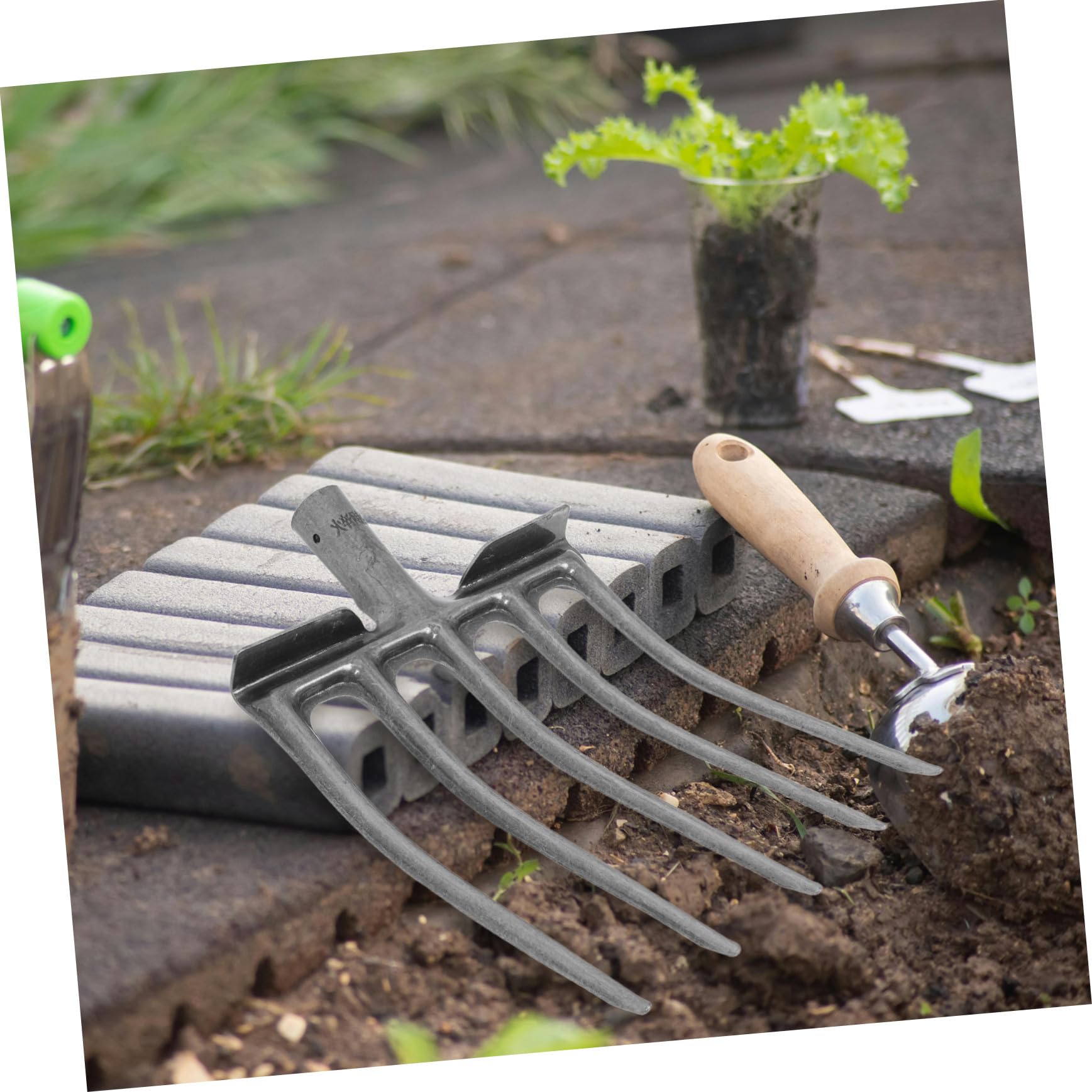 Forca da Aratura in Acciaio per Giardinaggio Agricolo, Testa Forca Multidente 5 e 6 Punte, Utensile per Allentare e Rivoltare Terreno, Attrezzo per Manutenzione Orto e Stalla