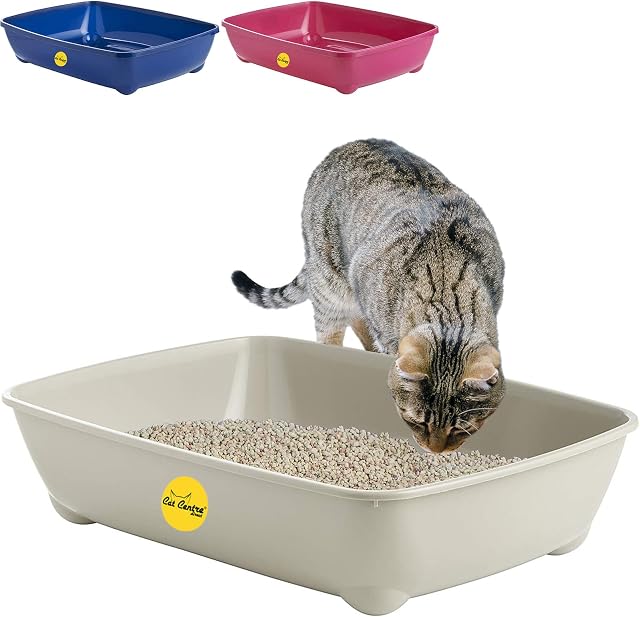 CAT CENTRE Grey Jumbo Open Cat Litter Tray 56cm XL Pet Toilet Kitten Easy Clean Plastic Portable Pan Loo Box Rounded Corners - Indoor & Outdoor - Kittens Adult Elderly Cats Trays Easy Access
