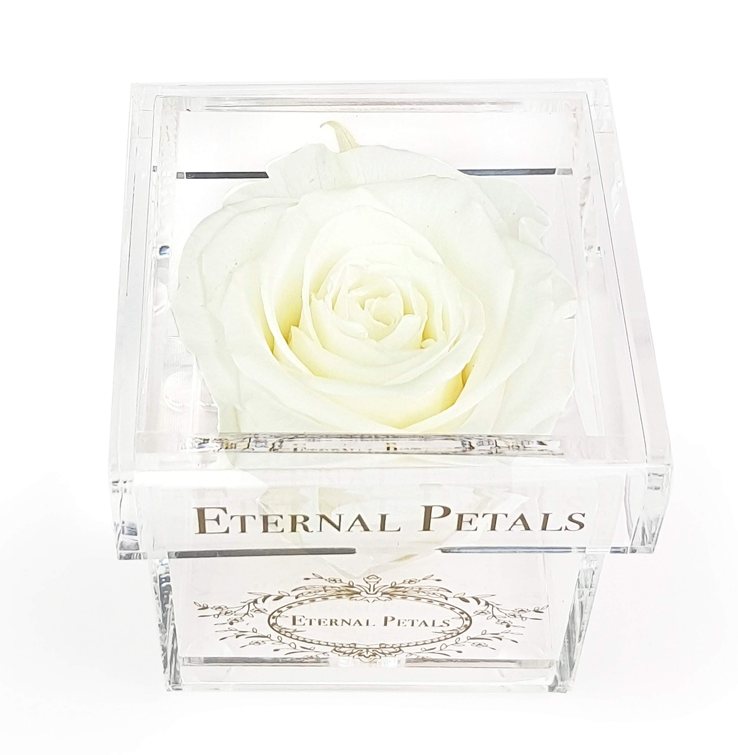 A 100% Real Rose That Lasts A Year - Gold Solo (White)