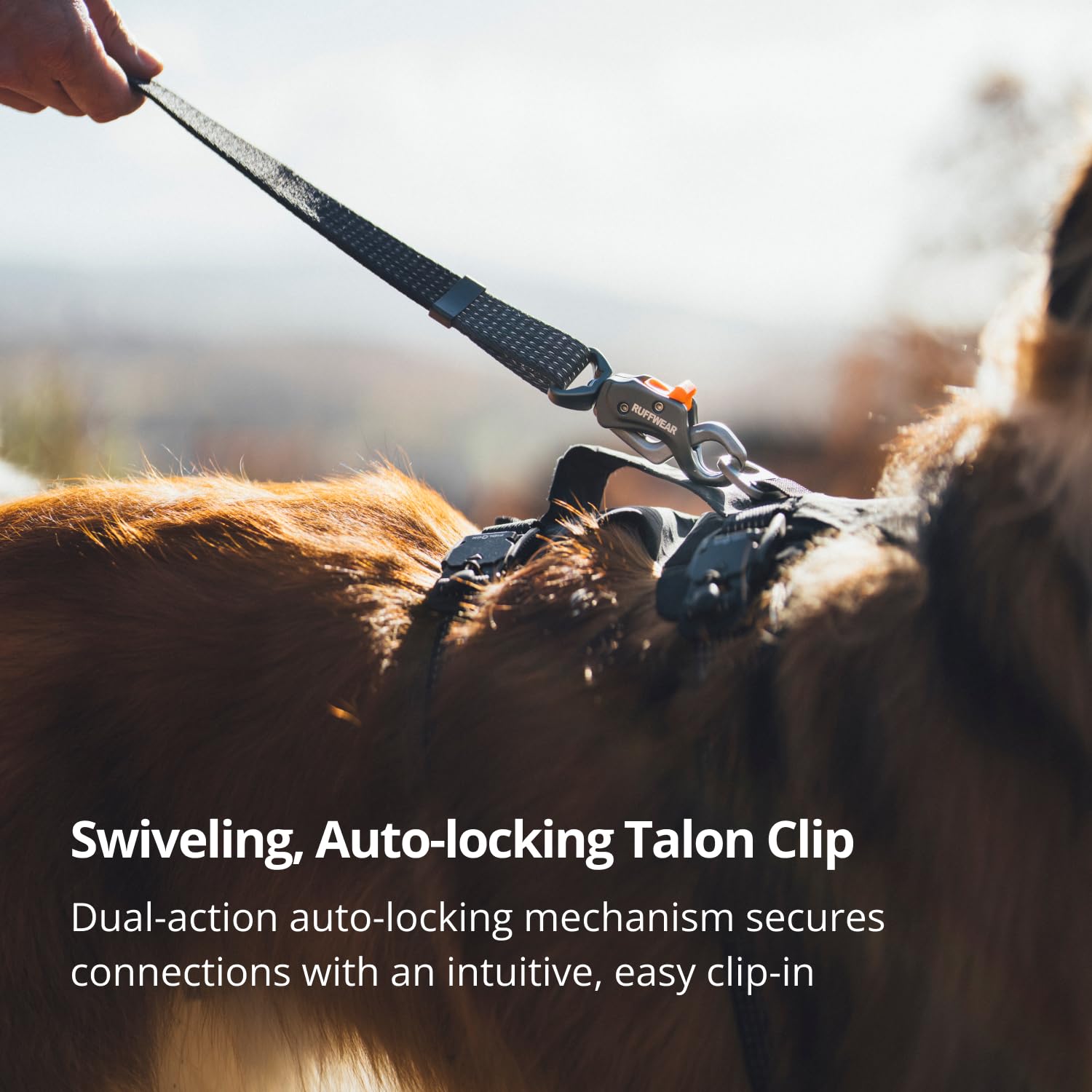 Amazon | RUFFWEAR(ラフウェア) リッジラインリーシュ オブシディアン