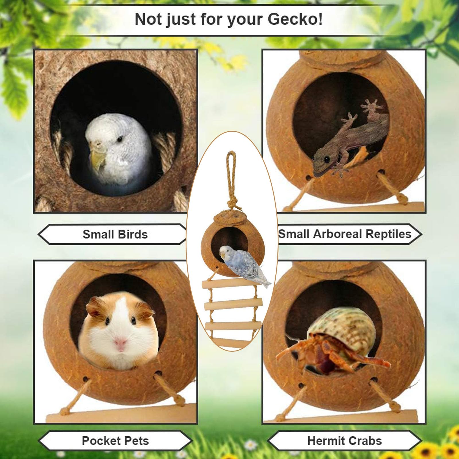 Nido di Cocco per Uccelli, Uccelli in Cocco Nido Decorativo, Nido di Noce di Cocco per Uccelli, per Uccelli in Stile Scala, Resistente Alle Intemperie per Piccoli Uccelli, Rettili, Amanti Del Giardino