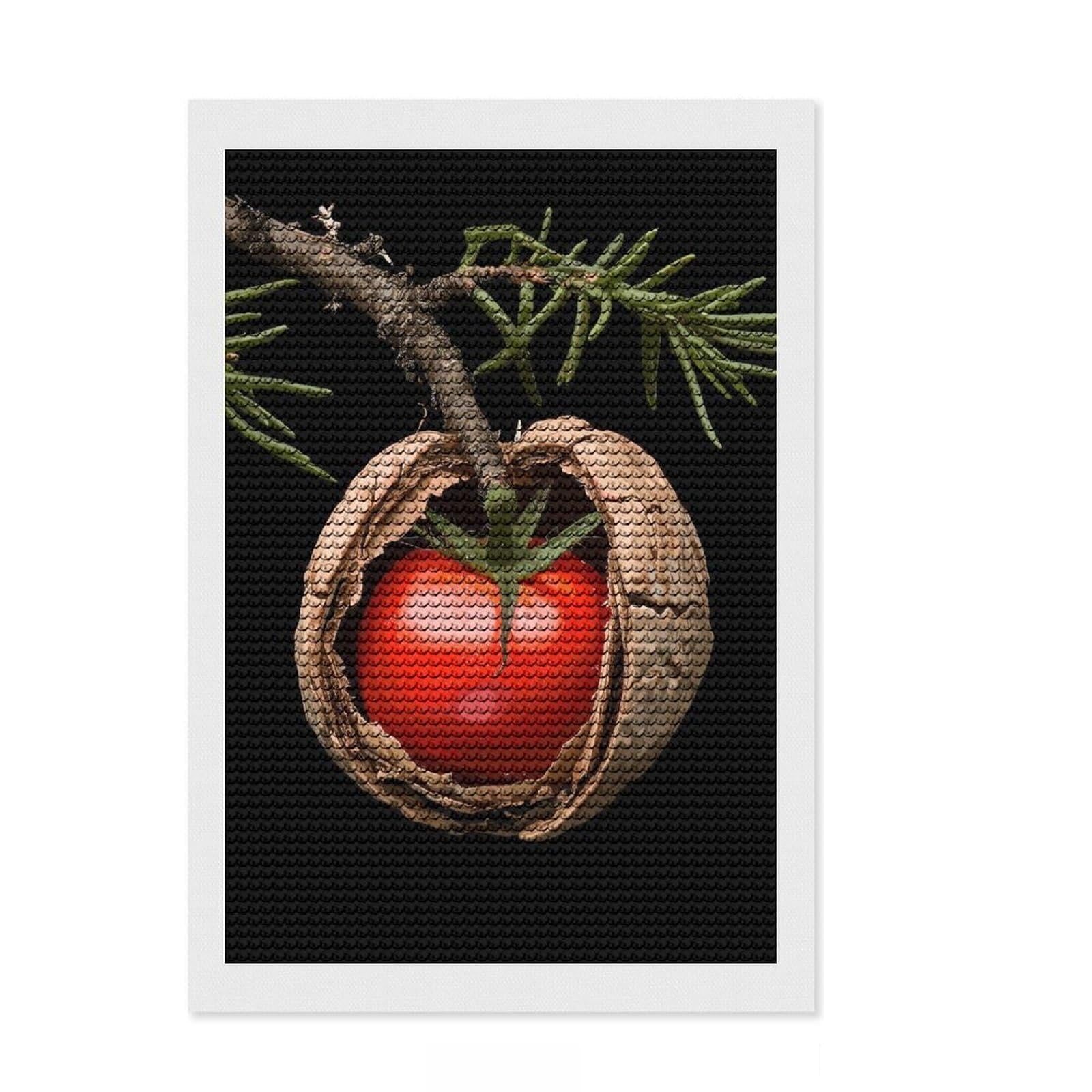Junmoney Tomato in A Nut Diamond Painting Set 8"x12", Stress Relief Craft, Satisfying Creative Project, Modern Decor, Holiday Gift Idea