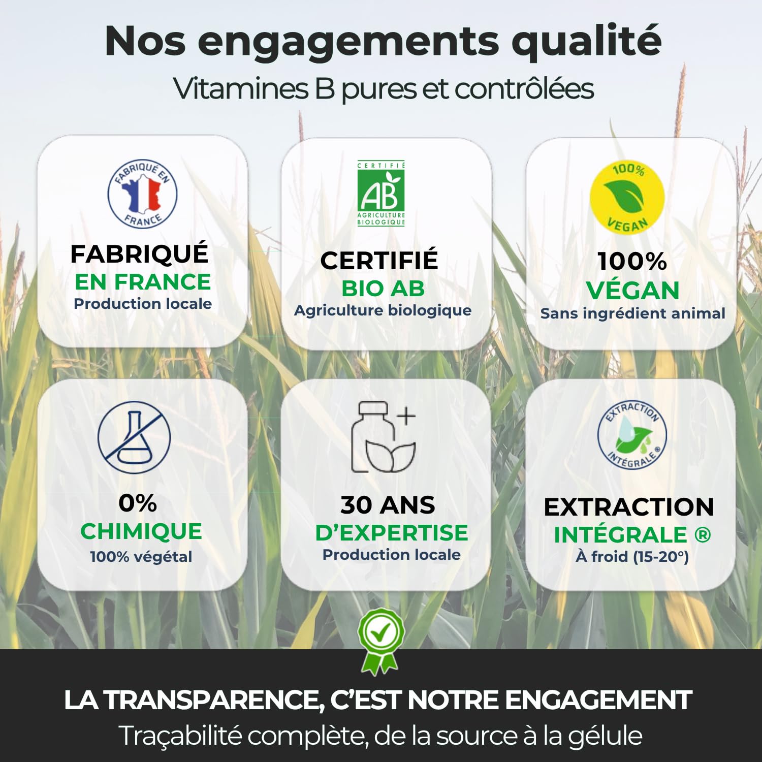 Biophénix - Vitamines B Bio 90 Gélules - 100% Naturel à Base de Végétaux - Énergie, Vitalité & Système Nerveux - Vitamines B1, B2, B3, B5, B6, B8, B9 et B12 - Fabriqué en France - Vegan