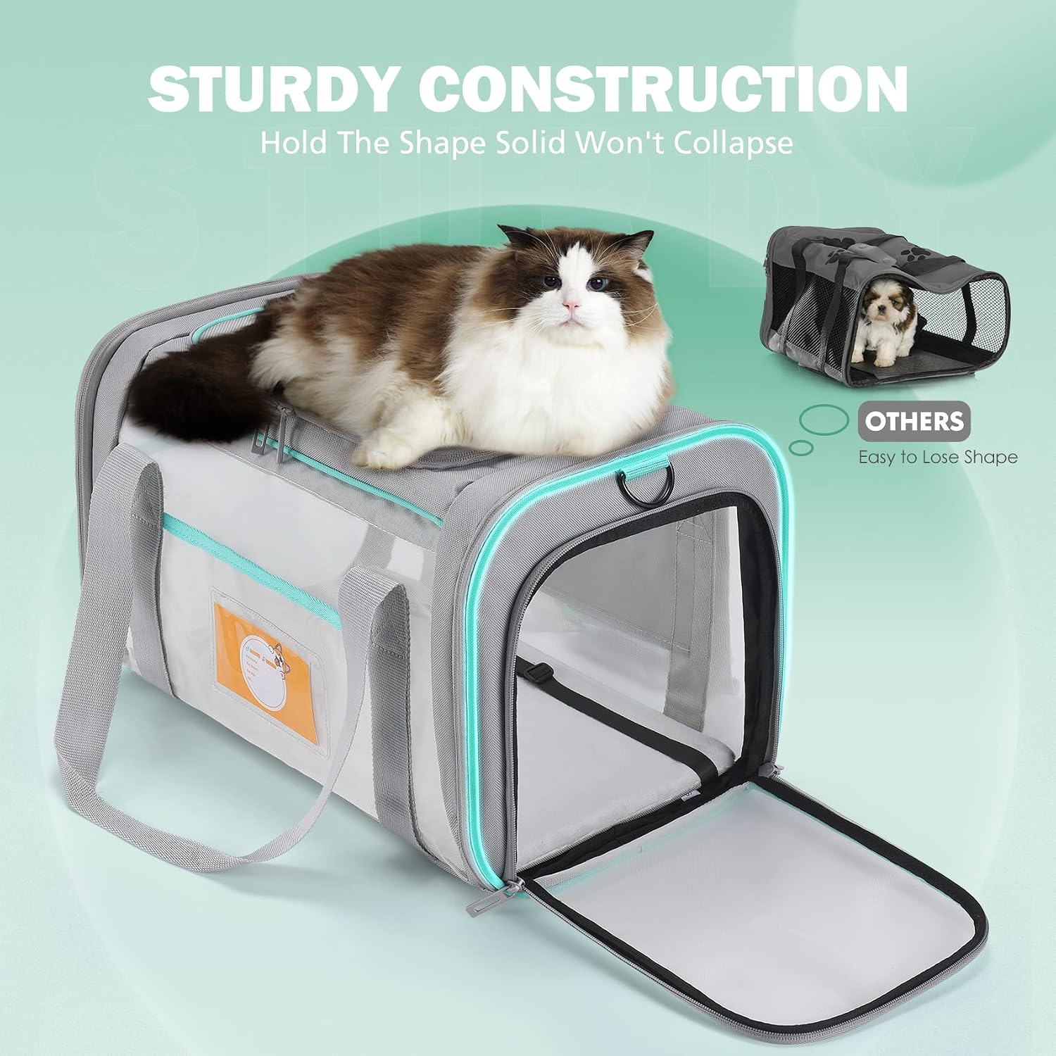 Cat Carrier