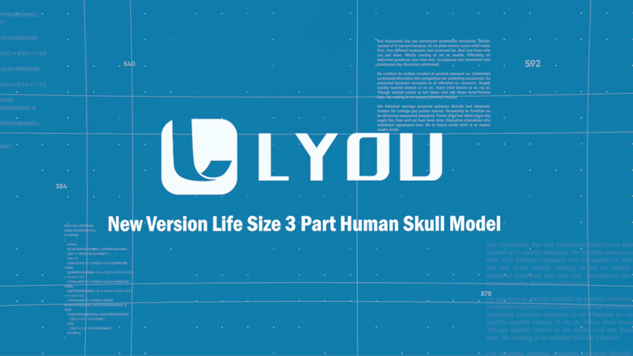 Image of LYOU Human Skull Model, Life Size Human Skull Head, Model Human Anatomy Head Skeleton Model for Learning, (Line Painted Skull)