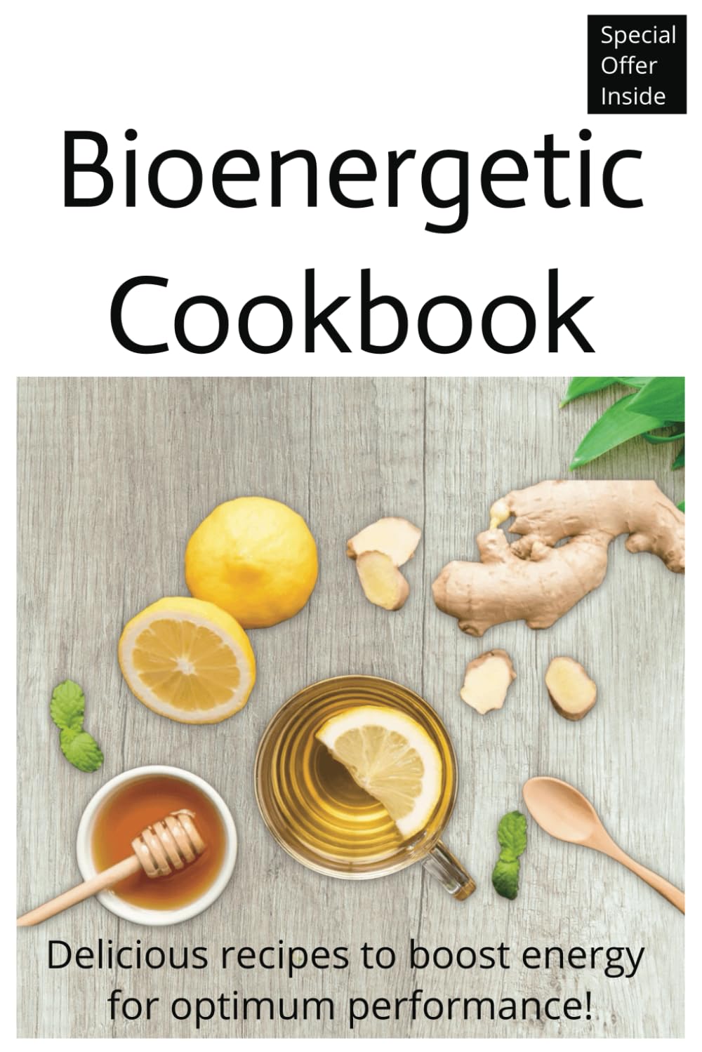 Bioenergetic Cookbook: Delicious recipes to boost energy for optimum performance