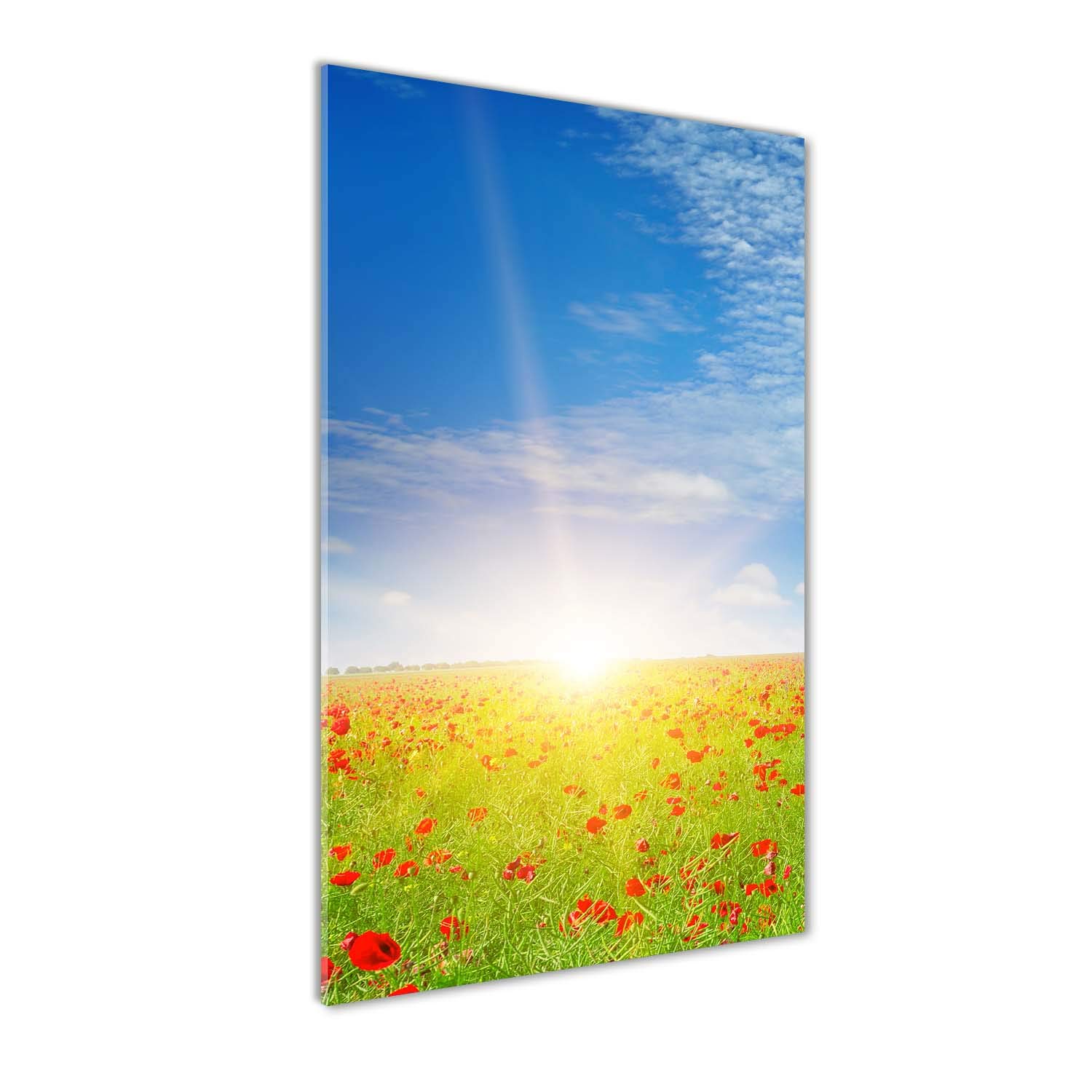 Tableau panoramique de cuisine avec impression sur verre 50x100 paysage de coquelicots