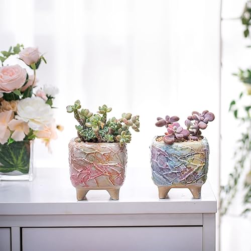 Miniatura 2 de Daveinmic Macetas para suculentas de 4 pulgadas con drenaje, macetas pintadas a mano para plantas suculentas, macetas de porcelana como regalo para