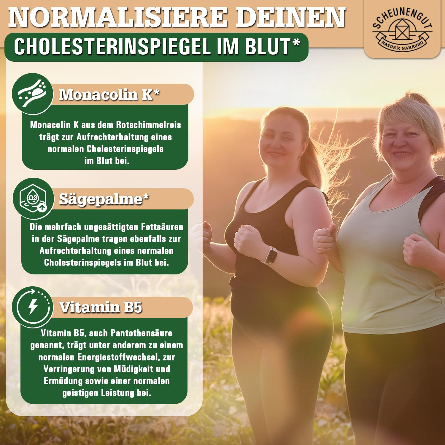 CHOLESTERIN INTENSO® Roter Reis -WICHTIG: Cholesterin Kapseln mit Monacolin K, Schwarzer Knoblauch, Bergamotte, Artischocke etc -Roter Reis Kapseln- 90Stk DE SCHEUNENGUT®