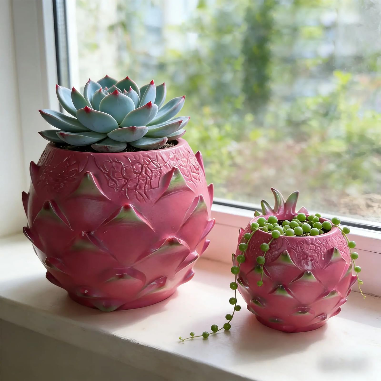 Amazon.co.jp: MIDOKSTUA 多肉植物 ポット ドラゴン フルーツ 形