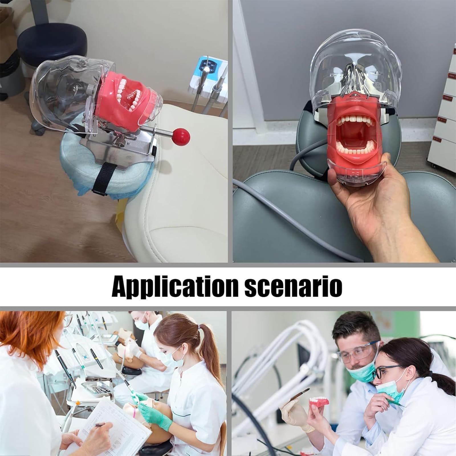 Dental Oral Simulation Practice, Abnehmbare Zähne Dentalmodell Mit Basishalterungsdesign, 360° Verstellbarer Kopfwinkel, Zähne Können Bewegt Und Entleert Werden, 1:1 Hohe Simulation