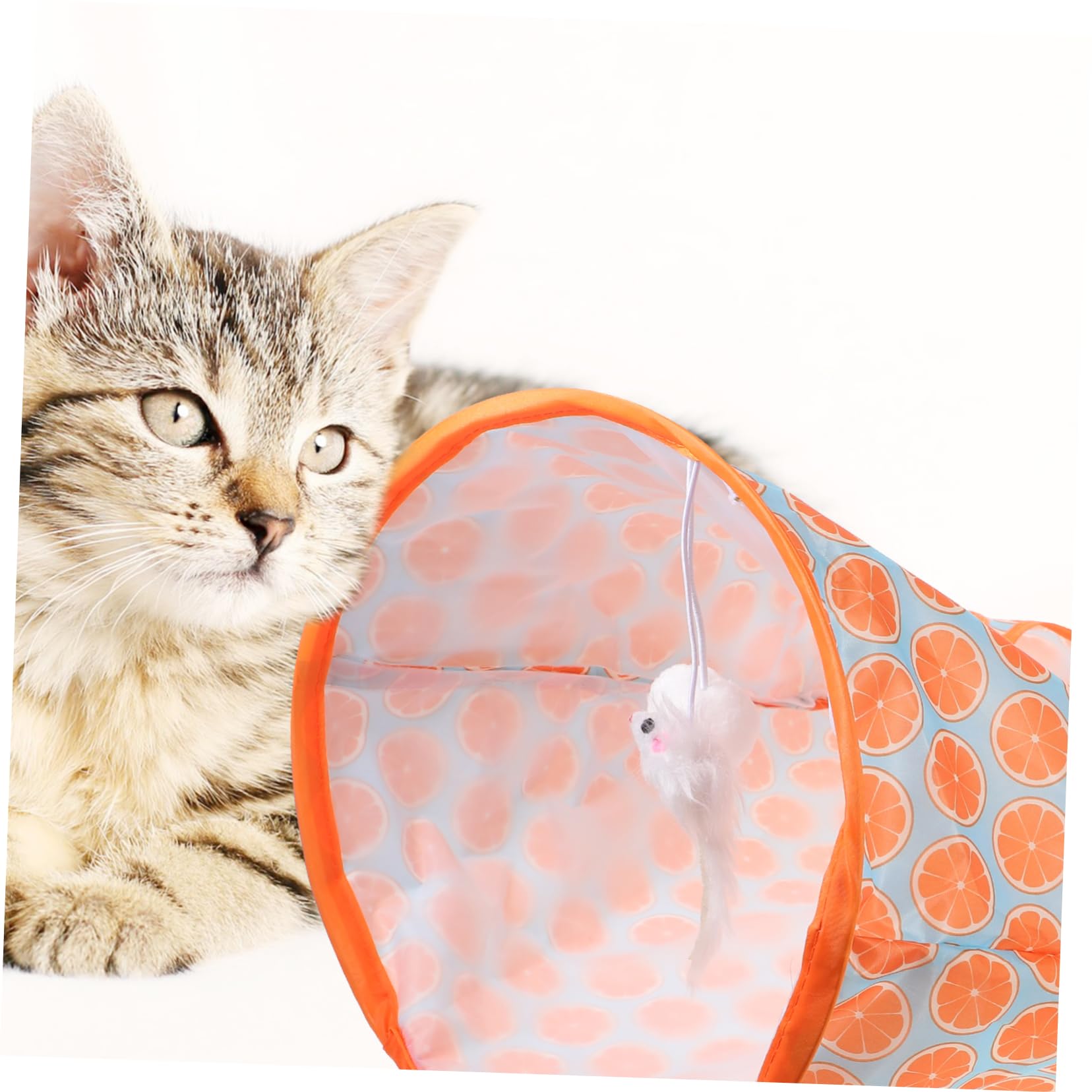 Mipcase 3pezzi Tunnel Per Gatti Con Pompon Gioco Interattivo Per Istinto Di Esplorazione Giocattolo Per Uso Ed Esterno Per Amici Con Animali Domestici Spazio Privato Sicuro e Confortevole