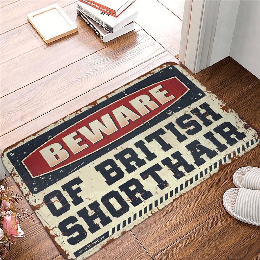 Men Cave Decor Beware of British Shorthair Rug Door Mats for Inside Entry Winter Doormat Outdoor (Size : 65X90CM)