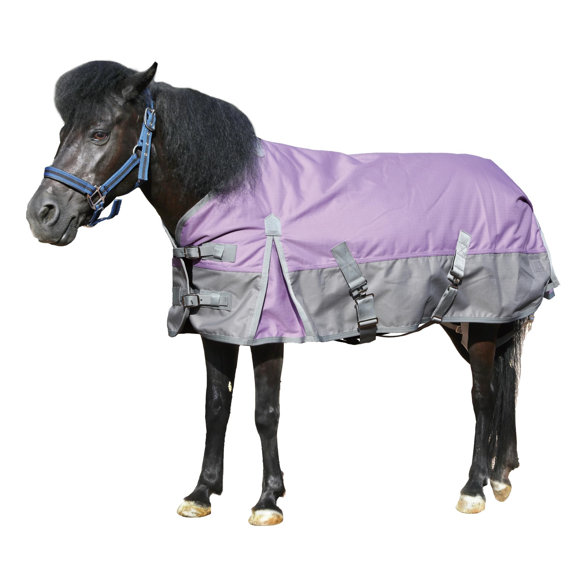 Coperta per cavalli in ripstop 1200D, peso medio, impermeabile e traspirante, per mini, Shetland, Pony e puledro 90-15,2 cm, peso medio, impermeabile e traspirante, per mini, Shetland, Pony e puledro