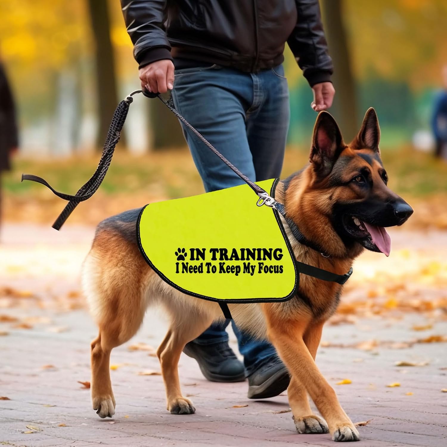 CENWA in Training I Need to Keep My Focus Dog Jacket Vest Alert Slogan Warning Vest (Training Focus M)
