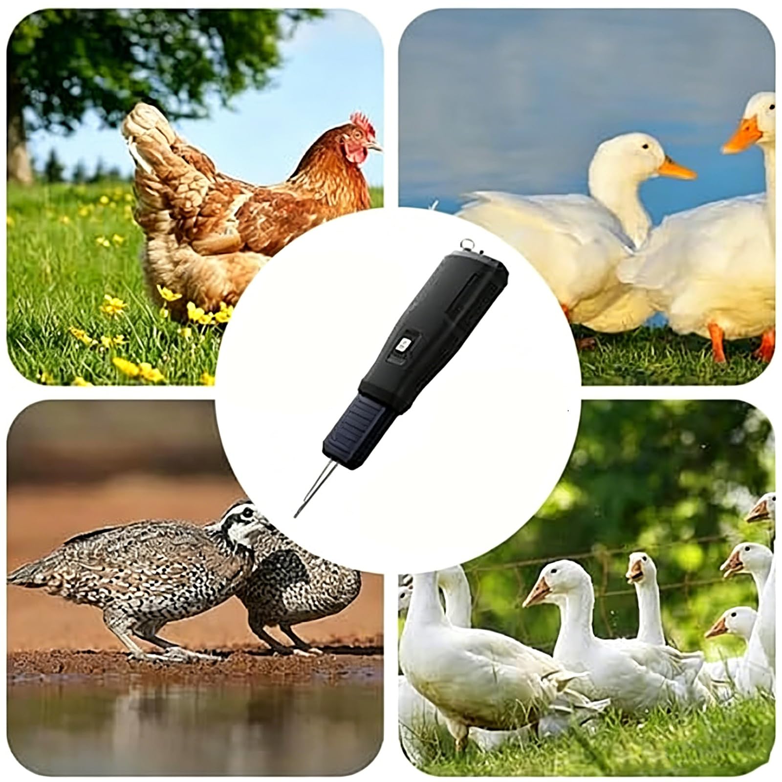 Strumento portatile ricaricabile per polli, 9000 giri/min, per anatra, tacchino, pollame, impermeabile e leggero, per una facile spennatura delle piume in fattoria o ristorante