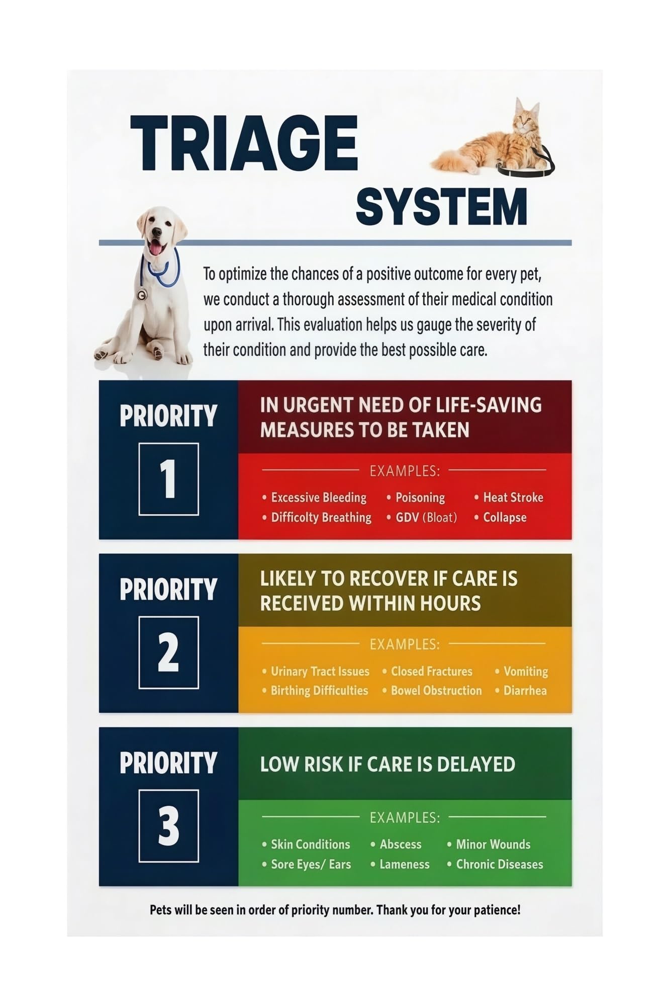RNUMLIGH Veterinary Clinic Wall-Art Pet Emergency Care Chart First Aid Triage Guide Educational Poster for Animal Hospital Training Facility Office