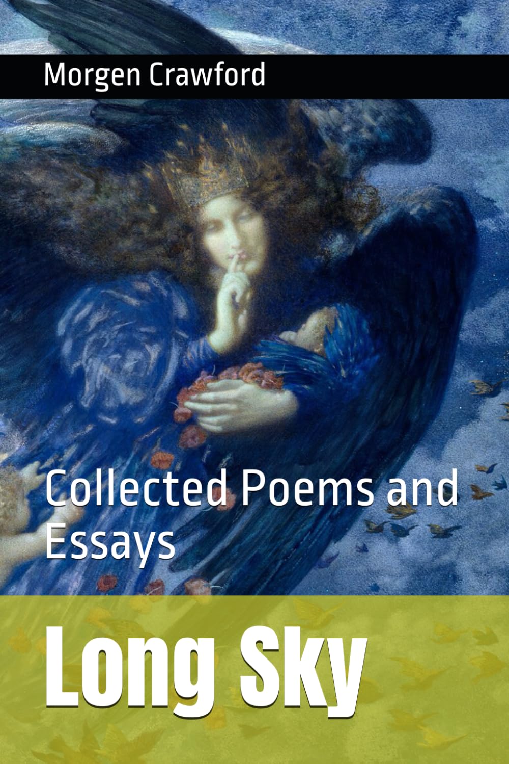 Long Sky: Collected Poems and Essays