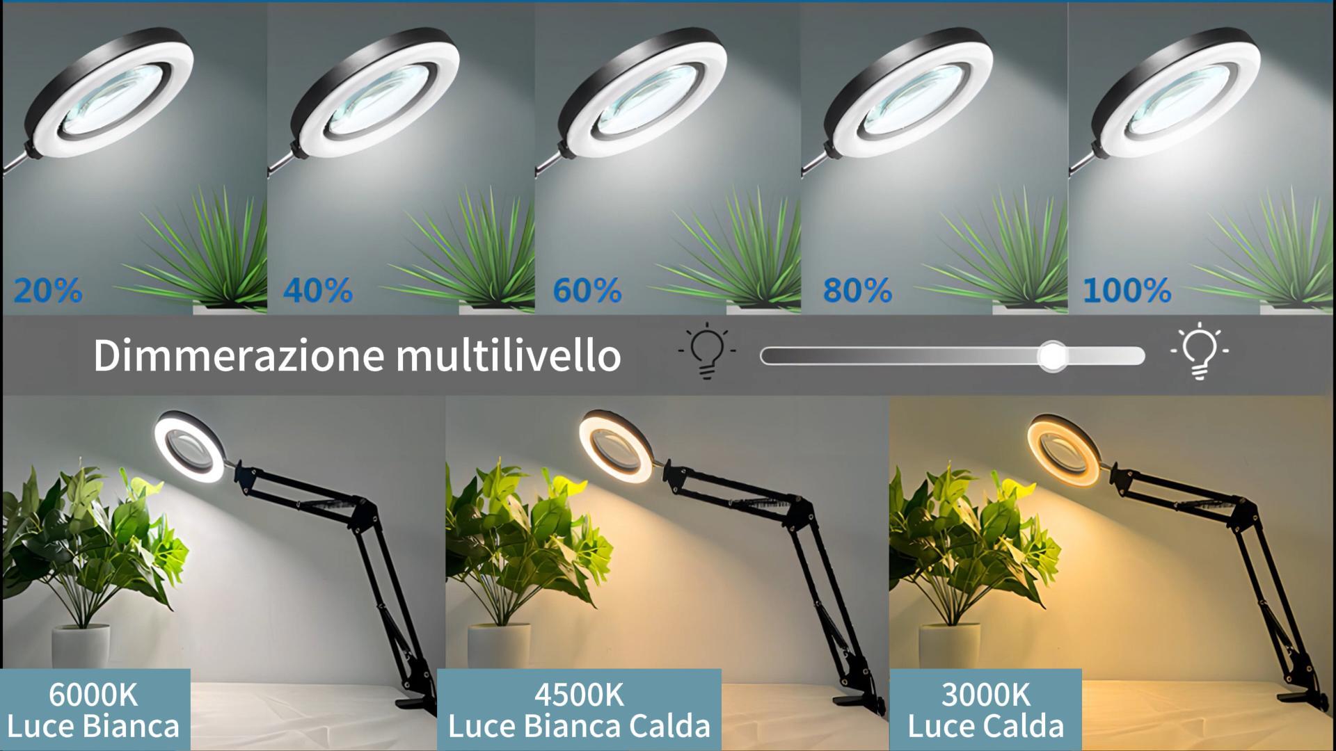 Lampada Neon Lampada Con Lente Da Ricamo Lampada Lente Ingrandimento  LAMPADA DA TAVOLO CON LENTE D