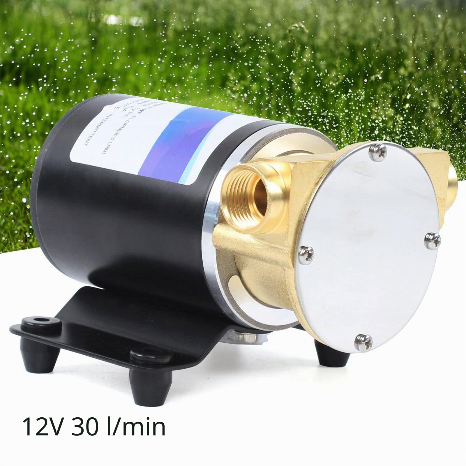 Bomba de cuña de 12 V auto-Amolante - Lavado de puente, sumergible, fuente, membrana, tubo profundo para yates de barco - Depósito de agua a bordo (12 V, 30)