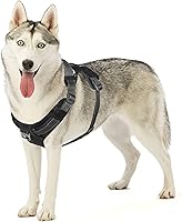 Vista 1 de Outward Hound Boulder Adventure - Arnés ajustable para perro con bolsillos, color negro, talla L