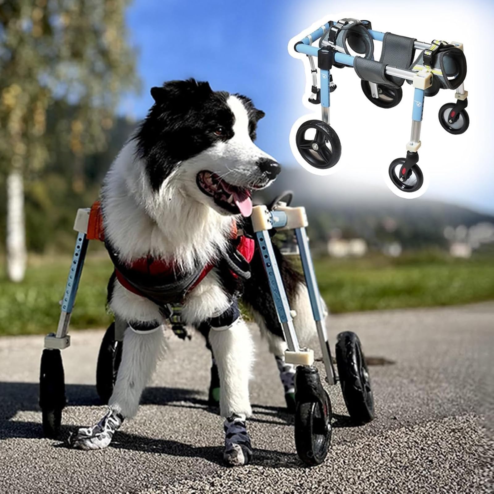 Silla de ruedas para perros discapacitados, soporte de ruedas ajustable 2 en 4, ayuda de movilidad para niños pequeños a grandes, equipo de rehabilitación de mascotas, mejora la movilidad