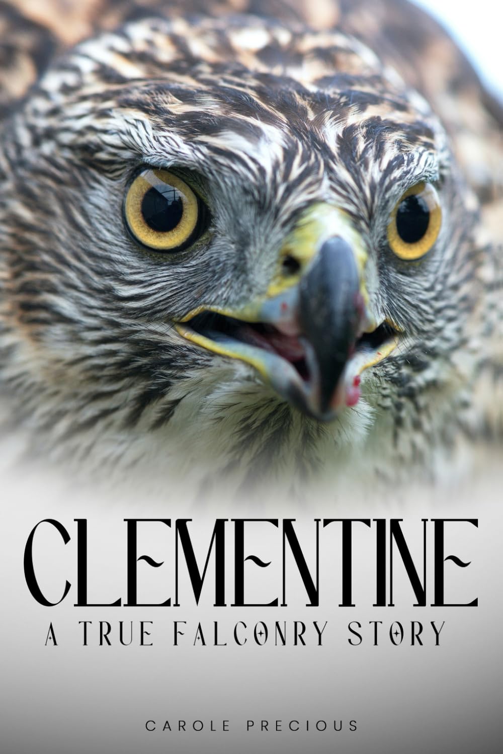 Clementine A True Falconry Story