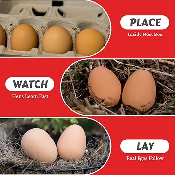 My Favorite Chicken Fake Chicken Eggs for Nesting Boxes for Chickens