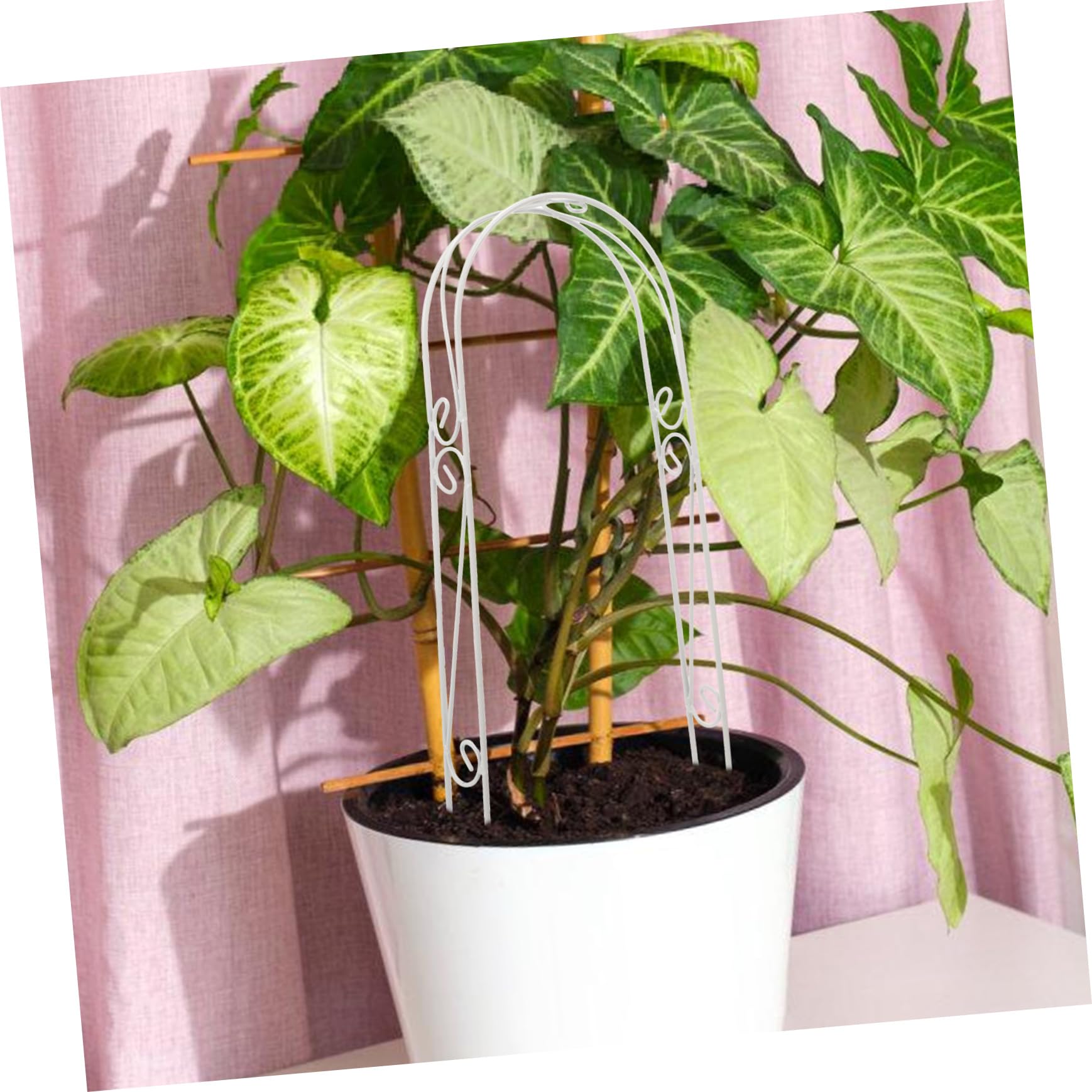 BESPORTBLE 5 Pièces Tuteurs pour Plantes d'intérieur Filets Treillis végétal Accessoire Jardinage Accessoires Jardinage Arche végétale pour Support Plante d'intérieur Poteau de Mousse Pliable