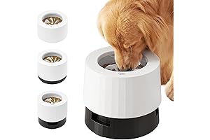 Pawque Elevated 60oz Slow Feeder Dog Bowls Large Breed