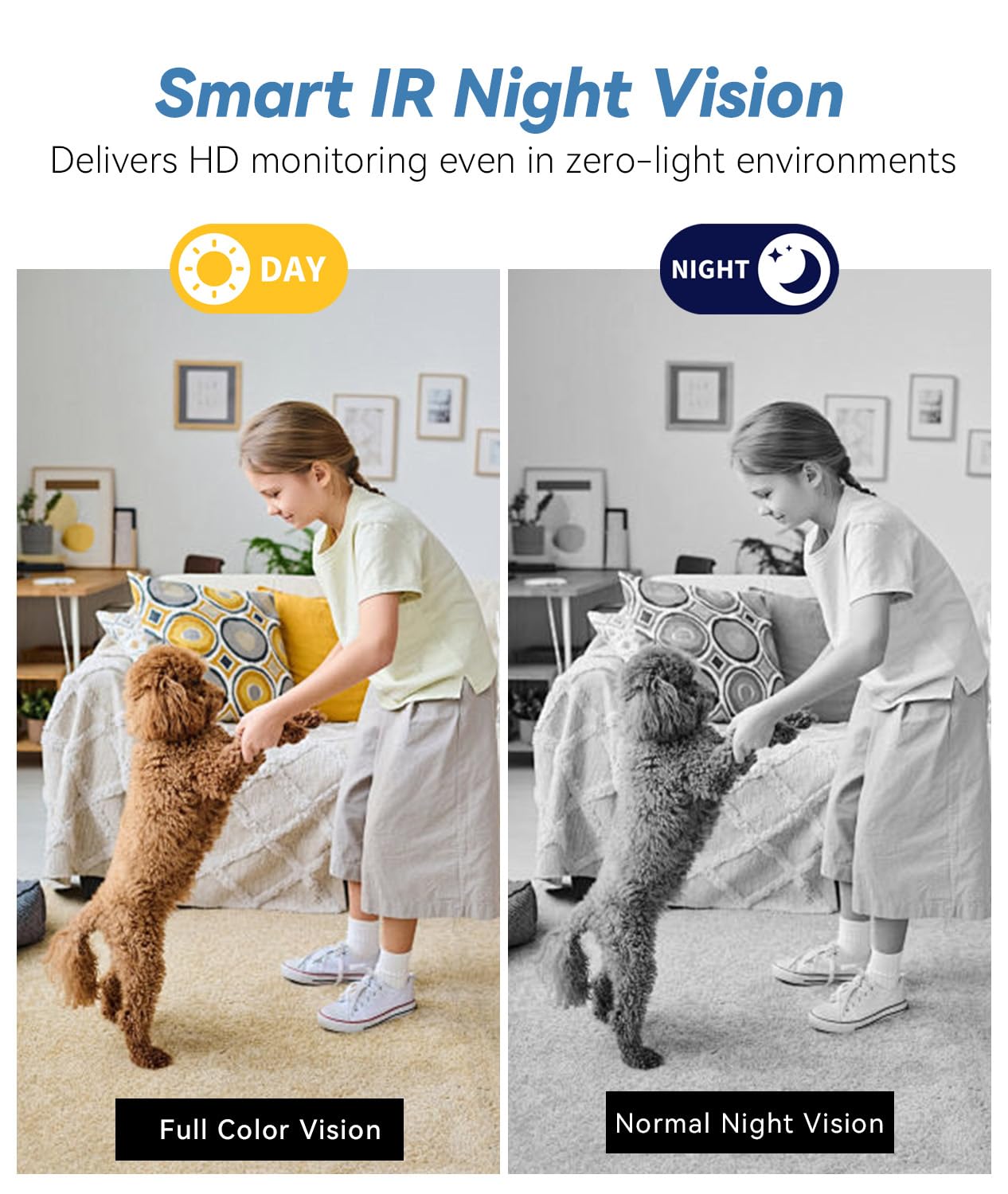 https://m.media-amazon.com/images/I/71rwpzemAjL.jpg