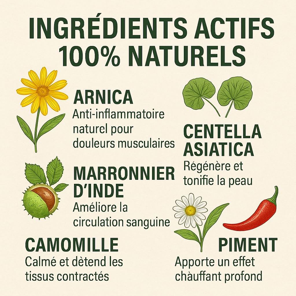 Baume du Cheval Extra Fort 500 ml – Crème Corporelle Régénérante aux Herbes pour Muscles et Articulations – Soulagement Vitalisant pour le Corps – Format Maxi – Dragon