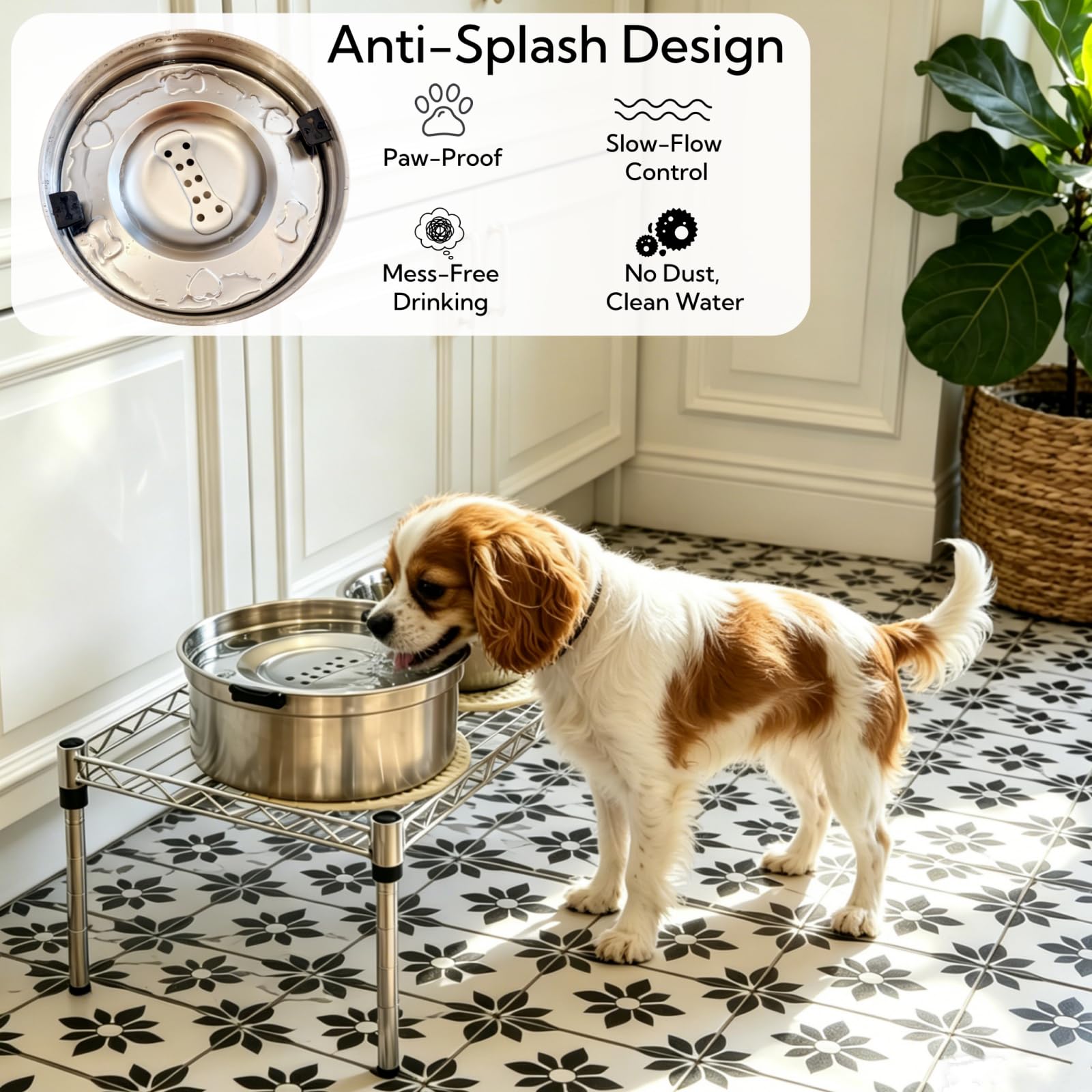 Set di 2 ciotole per cani rialzate, senza fuoriuscite, per razze piccole, 1 ~ 1,5 tazze, ciotole per cani in acciaio inossidabile 304 con supporto regolabile in altezza da 17,8 cm, in metallo lavabile