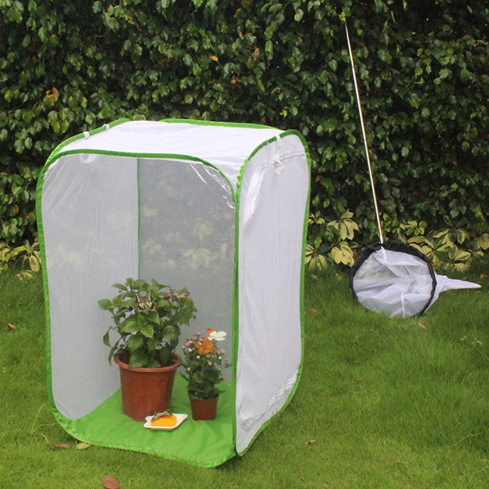 Insekten- und Schmetterlingsnetz, tragbar, zusammenklappbar, Terrarium, Pop-Up-Schmetterlingsnetz, Käfig für Kinder