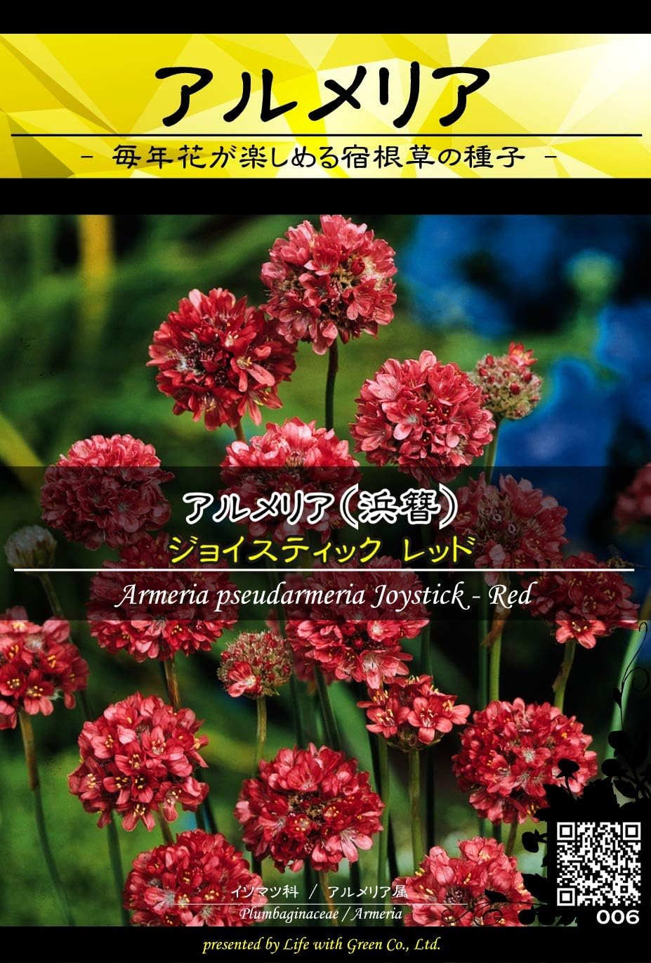 Amazon 種子 Prime Perennial Collection アルメリア シューダメリア ジョイスティック レッド Life With Green ドア用金物 Amazon 種子 Prime Perennial Collection アルメリア シューダメリア ジョイスティック レッド Life With Green ドア用金物