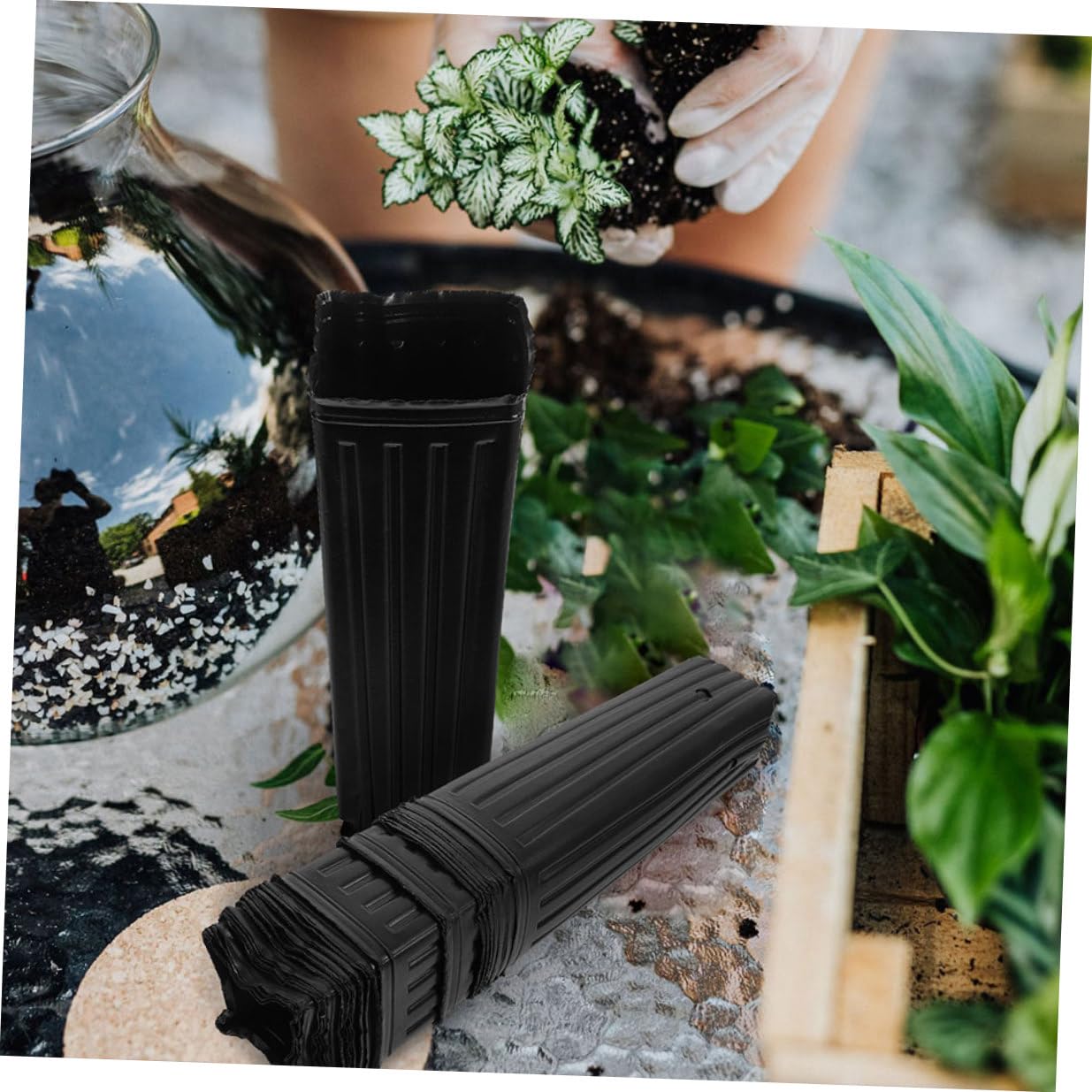 Lot de 60 Pots de Pépinière Noirs en Plastique Épaissi 10x30 Cm Pots Longs pour Semis D’Agrumes Respirants Anti-déformation Adaptés Jardinage Extérieur et Intérieur