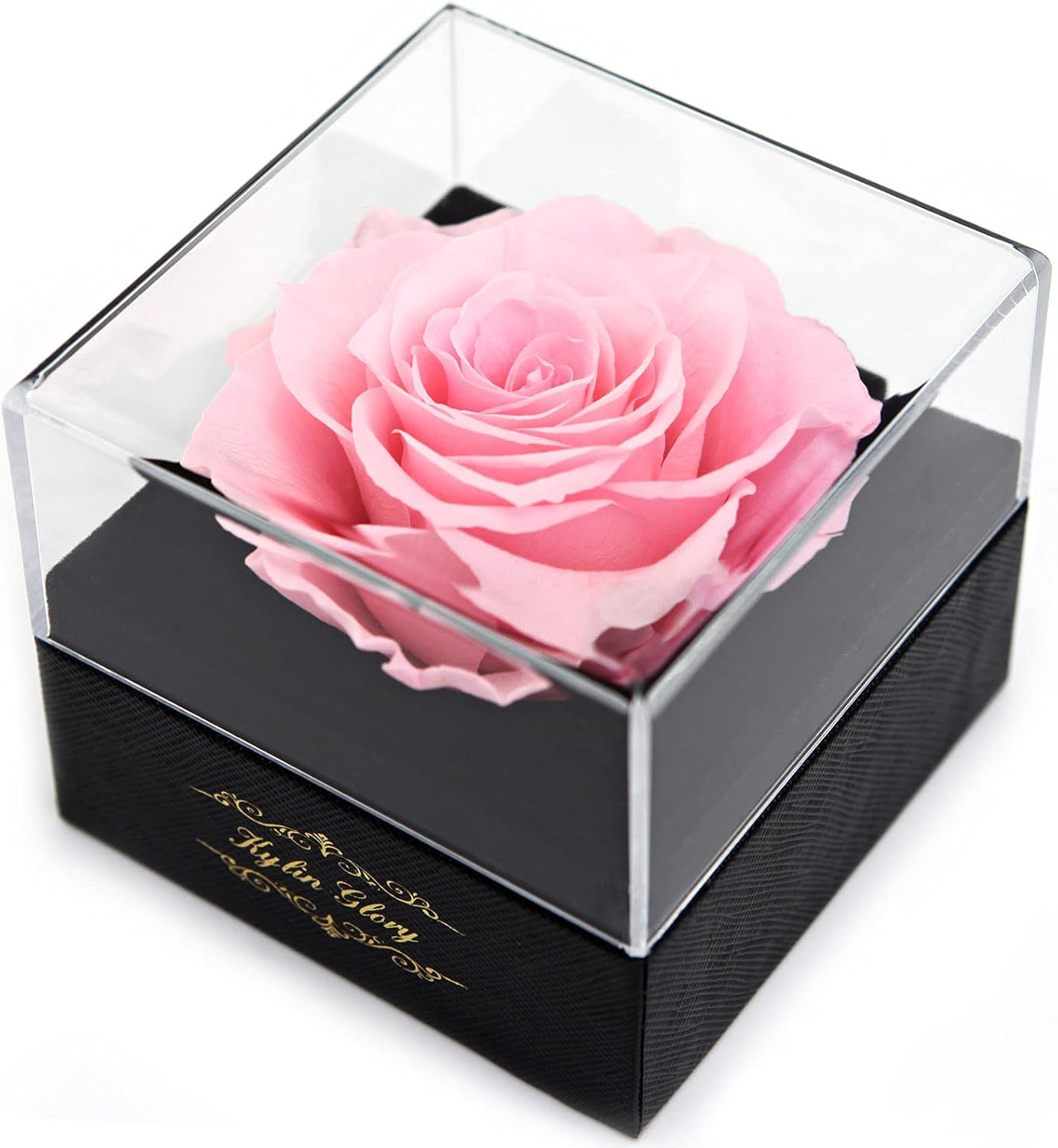 Fresh Cut Flower Preserved Peony for Women Mom Wife Girlfriend - Flower Gift Real Peony Decor for Mother's Day Valentine's Day Wedding Party Celebration Birthday Anniversary (Cherry Pink)