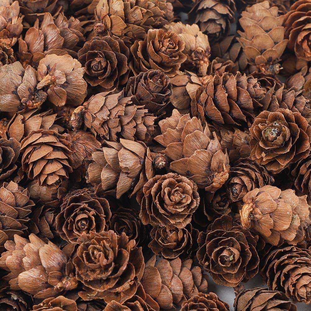 alfyng 180 conos de pino grandes de Navidad de 1 a 2 pulgadas, adornos de relleno de jarrón de piñas marrones de Acción de Gracias para decoración del hogar, boda, manualidades de otoño y Navidad