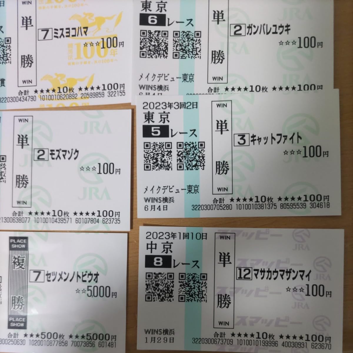 Amazon.co.jp: 競馬 カードコレクション 単勝複勝 珍名馬券 競馬法100