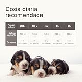 Ver la foto 8