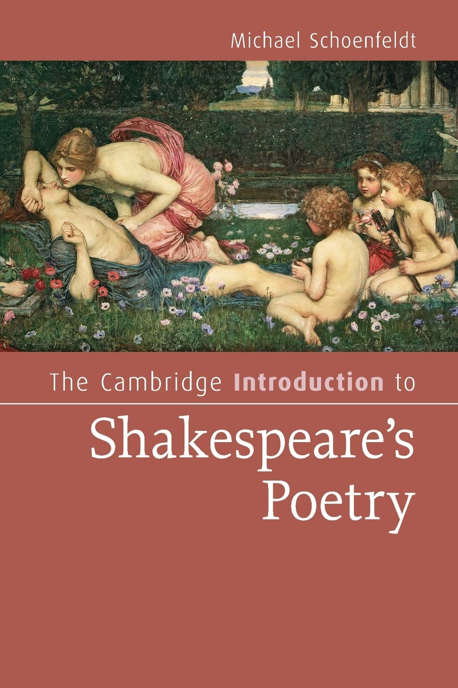 The Cambridge Introduction to Shakespeare's Poetry (Cambridge Introductions to Literature)