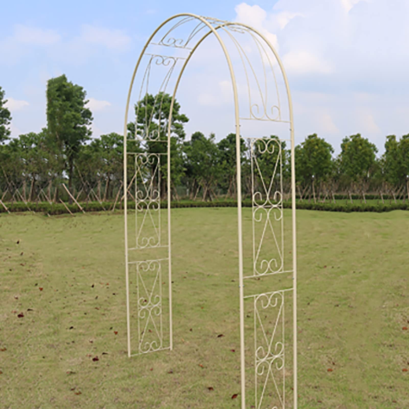 Arc de jardin avec treillis de porte en métal pour décoration de jardin extérieur
