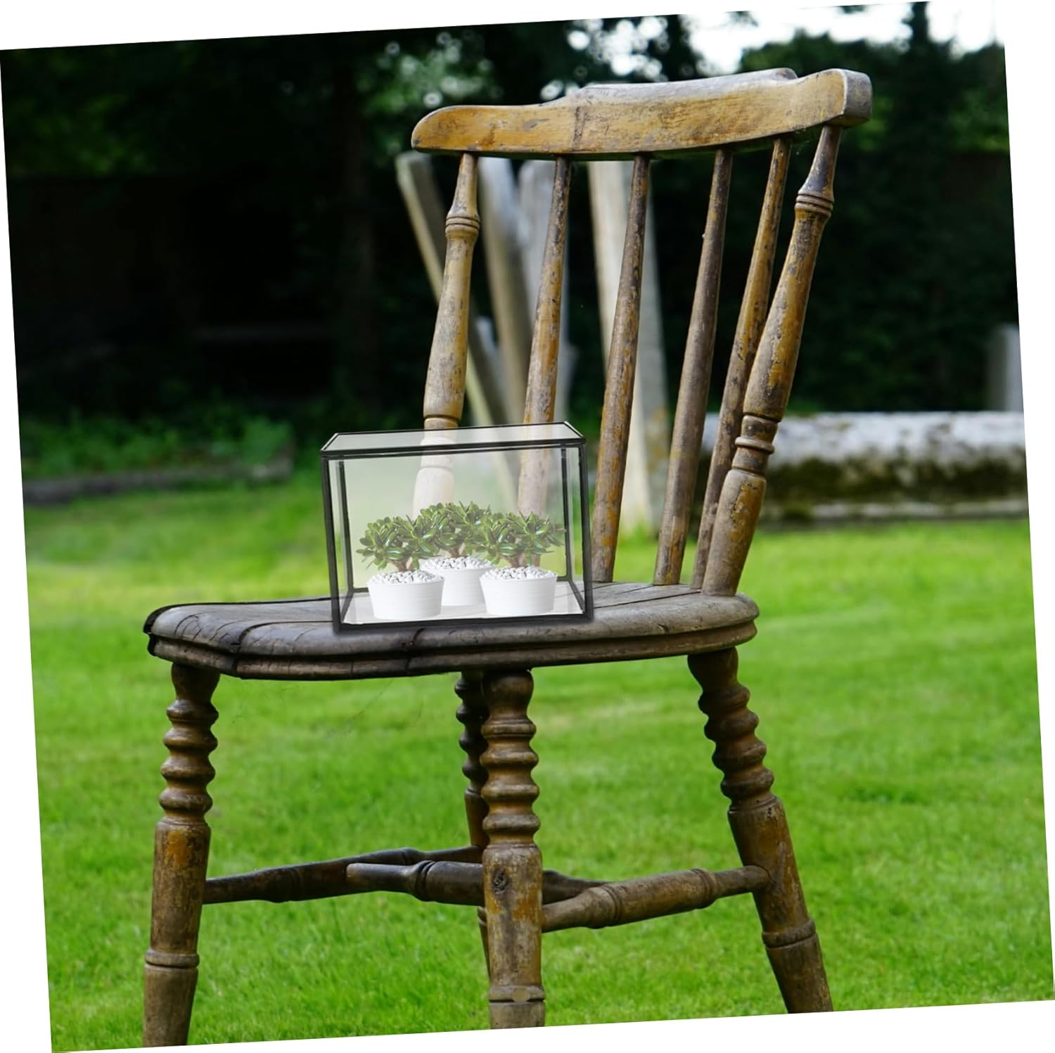 Micro Landscape Terrarium Holder Glass Container for Moss Plants Decorative Desktop Display for Use Creative Succulent Display Vase