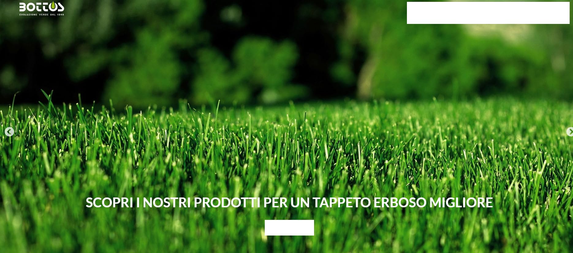Bottos IRON 65 Concime Fertilizzante Liquido Rinverdente per Prato,Verde Intenso in 24 Ore,Effetto Lunga Durata, 1 kg