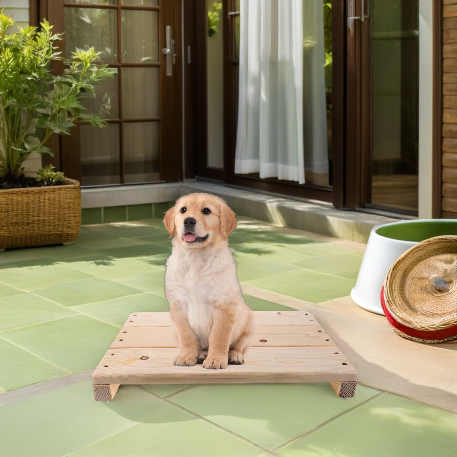 UKCOCO Pedana in Legno per L’agilità dei Cuccioli con Superficie Antiscivolo, Piattaforma per L’addestramento Cani Piccoli e Sgabello Rialzato Versatile per Uso Interno e Bagni