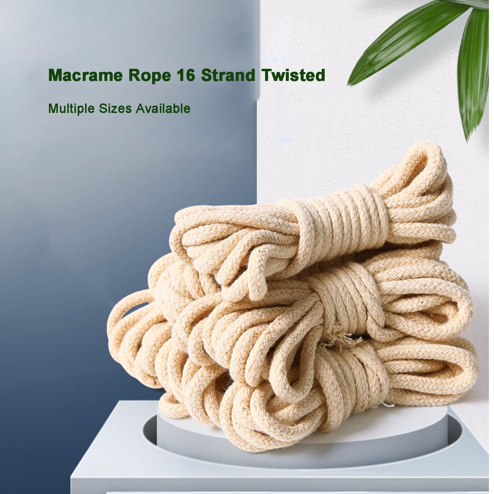 3 Paquetes de Cuerda de macramé de 3/4/5/6 mm, cordón de macramé de algodón Natural, Cuerda de algodón hilada con núcleo Suave Trenzado de 16 hebras para Colgar en la Pared,Beige-6mm~300m